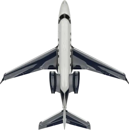 private Jet 3d model with of white and black color