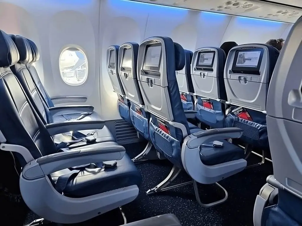 This image provides a glimpse inside the comfortable cabin of a Boeing 737-800. The cabin is designed to provide passengers with a pleasant and relaxing travel experience